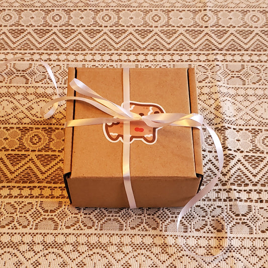 Capybara Bundle Gift Box