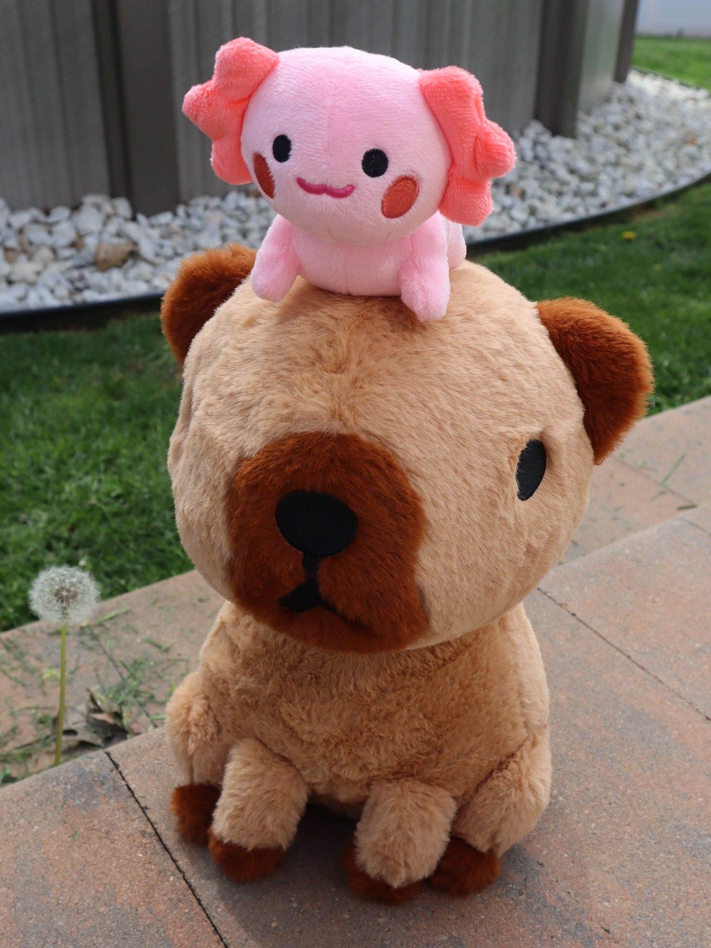 Capybara and Axolotl Magnetic Plushie (PRE ORDER)