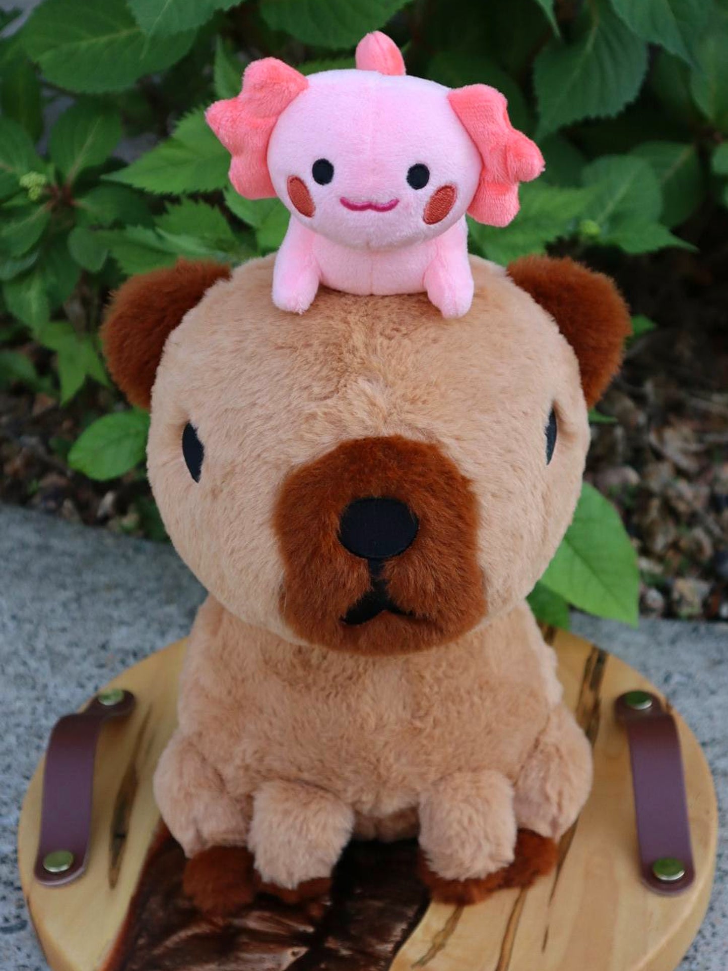 Capybara and Axolotl Magnetic Plushie (PRE ORDER)