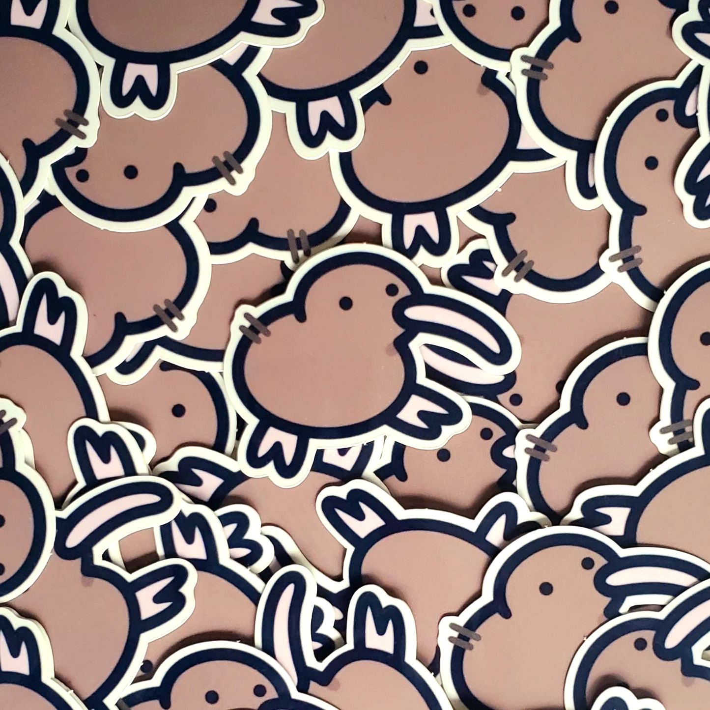 Kiwi Sticker