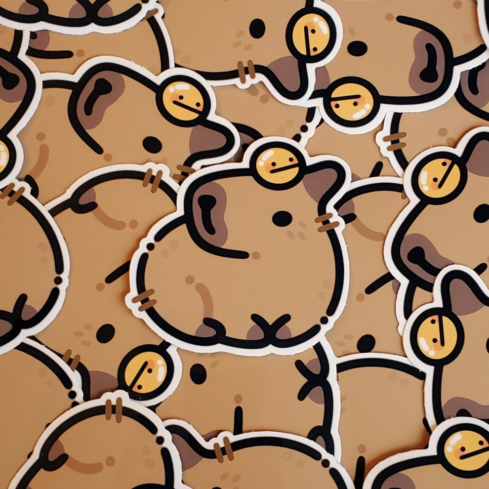 Capybara Bundle Gift Box