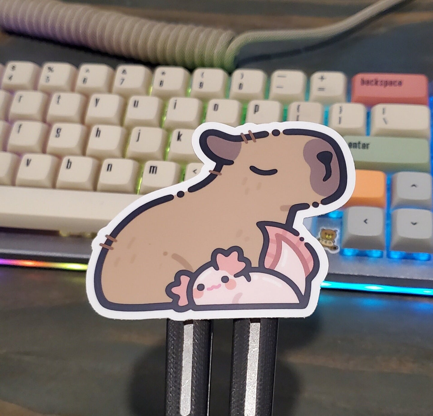Capybara & Axolotl Nap Sticker