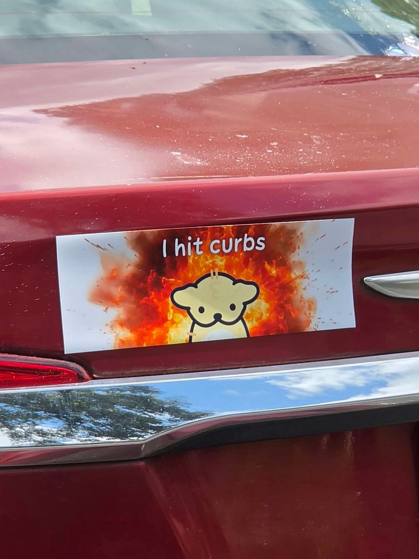 I Hit Curbs Bumper Magnet