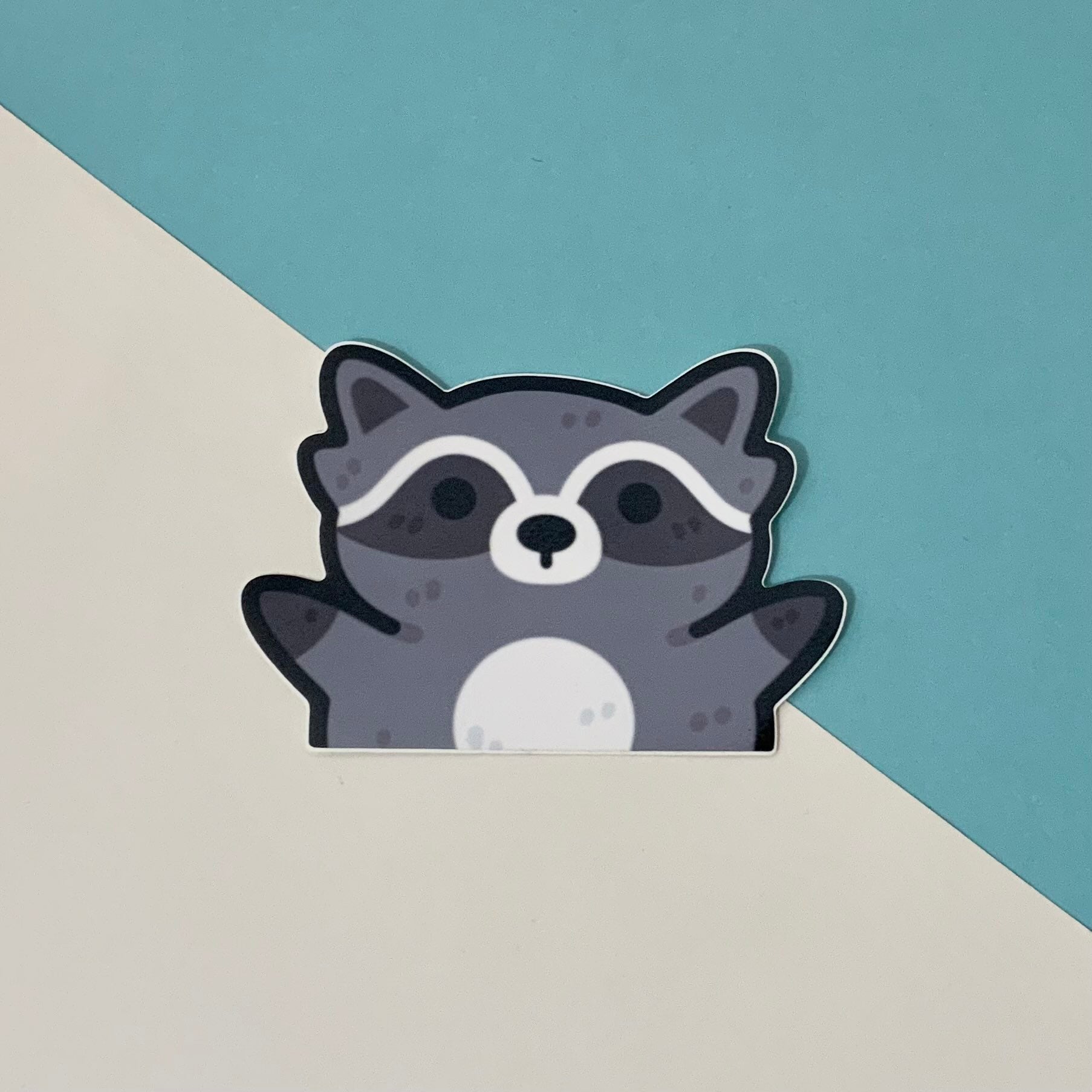 Shoe Rack Raccoon Sticker Raccoon Sticker – EveoArt