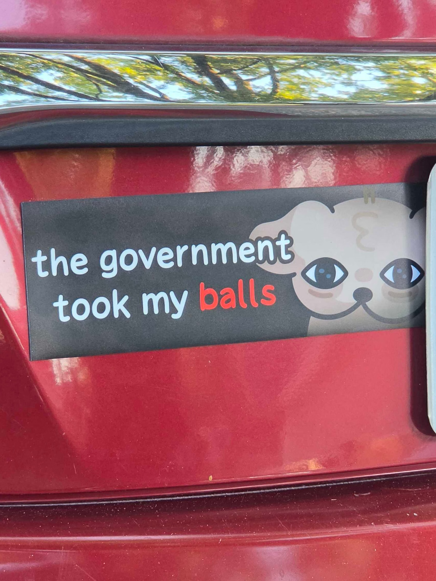 Government Bumper Magnet